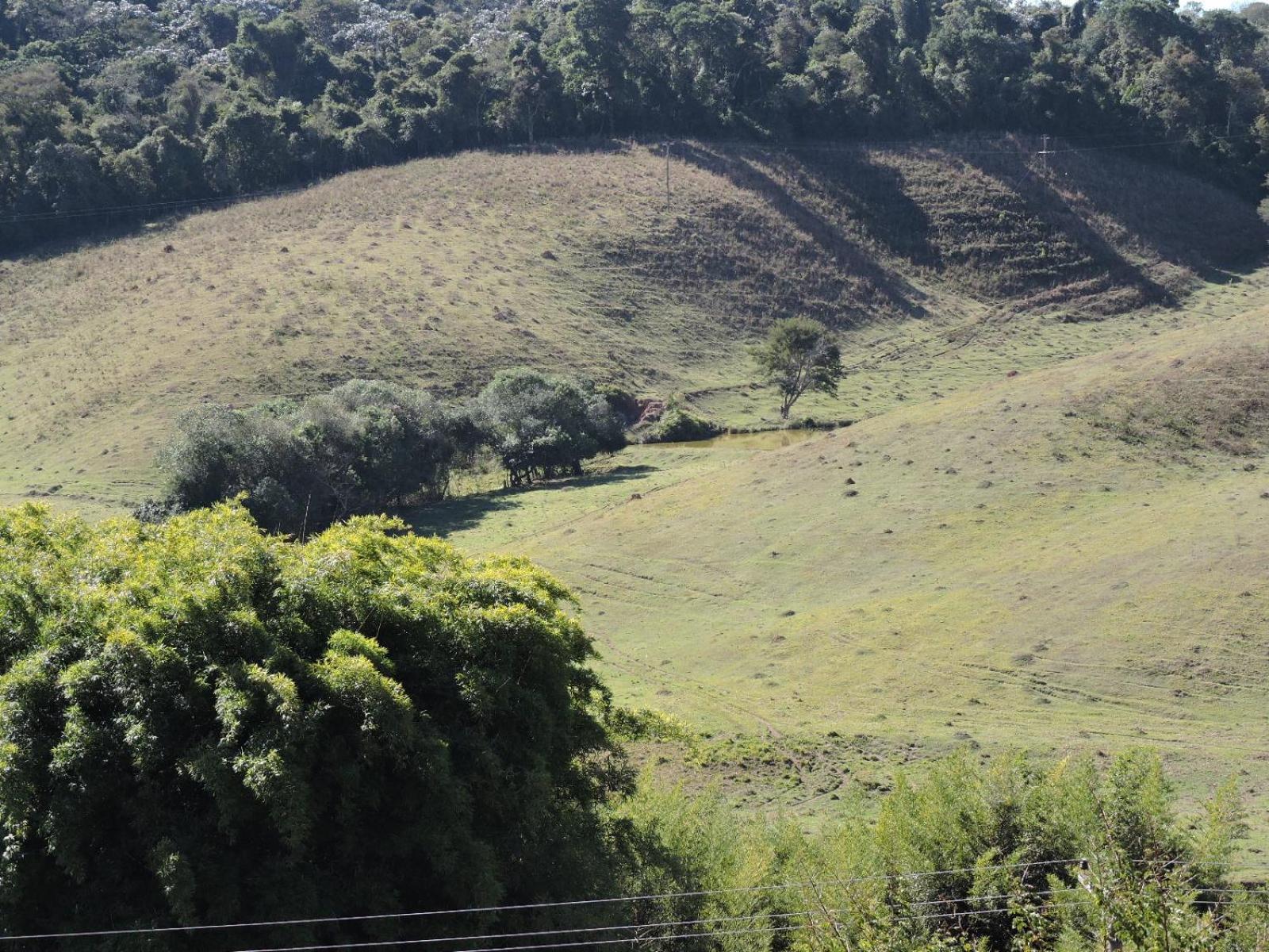 Pousada Vista Verde Cunha Cameră foto